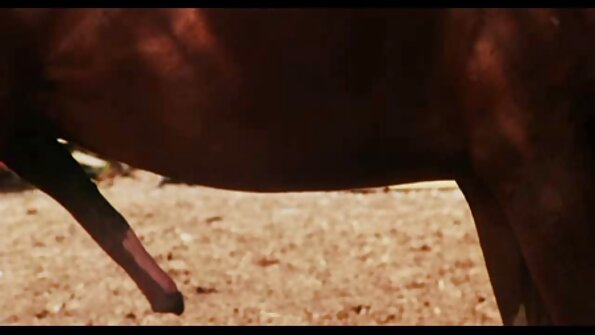 Brünette reife sex tube willigt ein, einer Gruppe von Männern zu dienen und sie in der Gruppe rauchen zu lassen